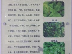 -北京中西医结合医院