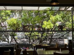 -萨尔瓦多Salvador's