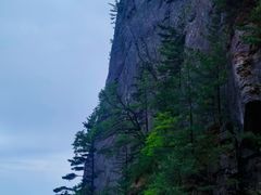 -秦岭天竺山景区