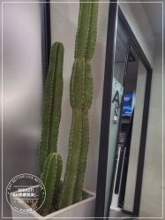 -SEBASTIAN塞巴斯汀