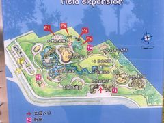 -海珠儿童公园