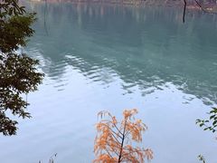 -广州市流溪河国家森林公园