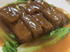 -东鸽皇(奥园·中环广场店)