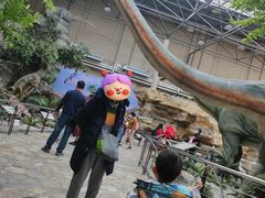 -国家自然博物馆