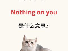 -引领英语·成人口语·雅思托福