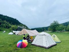 -武陵山森林公园