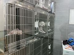 -宠福鑫康馨动物医院·骨科·眼科