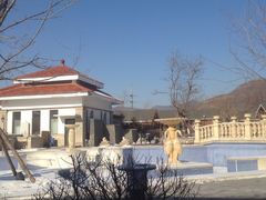 -嘉华国际旅行社有限公司