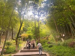 -峙山公园