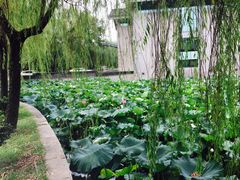 -绍兴鉴湖君澜大酒店