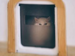 -猫腻·猫咖·撸猫馆(星光大道店)