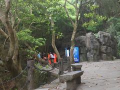 -梧桐山风景名胜区