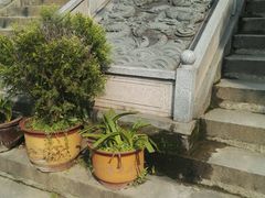 -卓刀泉寺