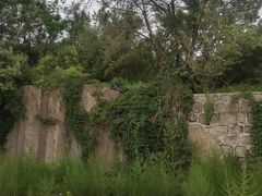 -白水寺森林公园