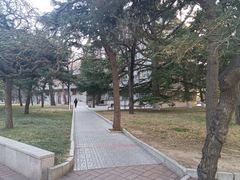 -中央民族大学