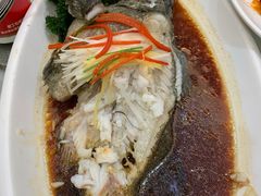 -小贝壳酒楼(经九路店)