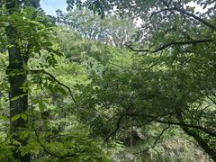 -黄山翡翠谷景区