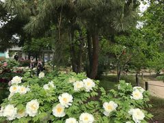 -国家植物园南园