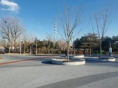 -绿堤公园