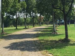 picture-南桥绿地铂骊酒店