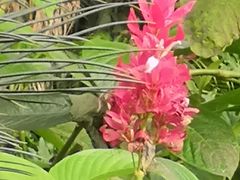 -石家庄市植物园