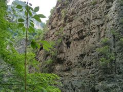 -山西壶关太行山大峡谷旅游景区
