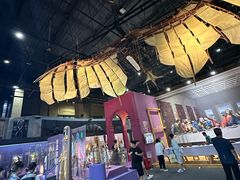 -国家自然博物馆