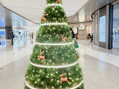 -深圳湾万象城(南山店)