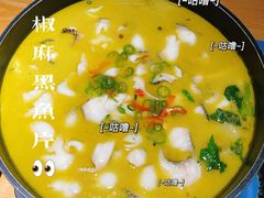 椒麻黑鱼片-滇铺子·云南特色菜·第九届野生菌美食节(东风东路c86店)