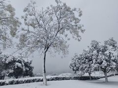 -洋湖国家湿地公园