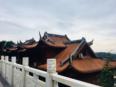 -铁山坪森林公园