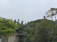 -天坛大佛