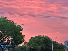 -黔有有贵州酸汤夺夺粉火锅(五味十字店)