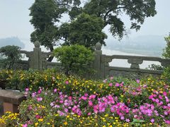 -乐山大佛风景名胜区乌尤寺南门-售票点