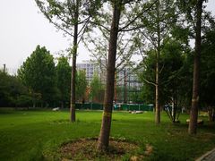-回龙观体育文化公园
