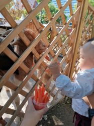 -萌宠亲子动物乐园(槐房万达店)