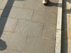 -羚羊峡古栈道森林公园