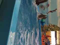 -尼莫海豚馆