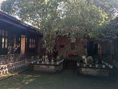 -八大山人梅湖景区