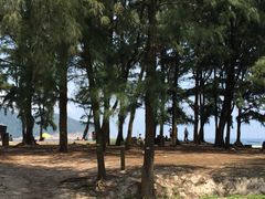-浪茄湾