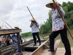 -溱湖国家湿地公园