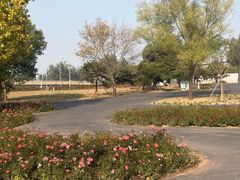 -永定河休闲森林公园