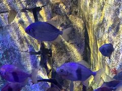 -沈阳海洋探索中心