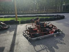 -上海海湾国家森林公园