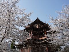 -西安青龙寺遗址景区