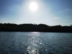 -佛手湖郊野公园
