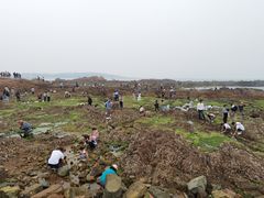 -青岛第二海水浴场