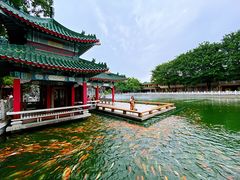 -广东圆玄道观