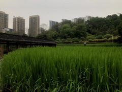-龙头寺公园