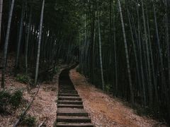-达蓬山旅游度假区